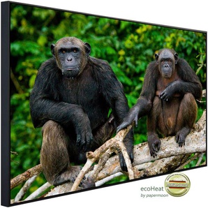 PAPERMOON Infrarotheizung Schimpansen aus dem Kongo Heizkörper Gr. B/H/T: 100 cm x 60 cm x 3 cm, 600 W, bunt (kunstmotiv im aluminiumrahmen) Heizkörper