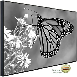 PAPERMOON Infrarotheizung Schmetterling Schwarz & Weiß Heizkörper Gr. B/H/T: 100 cm x 60 cm x 3 cm, 600 W, bunt (kunstmotiv im aluminiumrahmen) Heizkörper