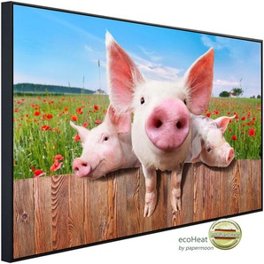 PAPERMOON Infrarotheizung Schweine in Blumenwiese Heizkörper Gr. B/H/T: 120 cm x 60 cm x 3 cm, 750 W, bunt (kunstmotiv im aluminiumrahmen) Heizkörper