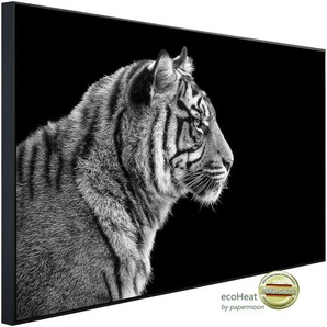 PAPERMOON Infrarotheizung Sumatra Tiger Porträt Heizkörper Gr. B/H/T: 120 cm x 60 cm x 3 cm, 750 W, bunt (kunstmotiv im aluminiumrahmen) Heizkörper