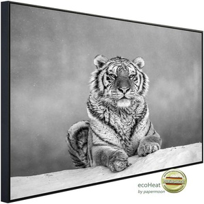 PAPERMOON Infrarotheizung Tiger Portrait Schwarz & Weiß Heizkörper Gr. B/H/T: 120 cm x 90 cm x 3 cm, 1200 W, bunt (kunstmotiv im aluminiumrahmen) Heizkörper