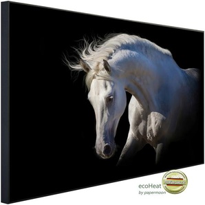 PAPERMOON Infrarotheizung Weißes Pferd Heizkörper sehr angenehme Strahlungswärme Gr. B/H/T: 100 cm x 60 cm x 3 cm, 600 W, bunt (kunstmotiv im aluminiumrahmen) Heizkörper