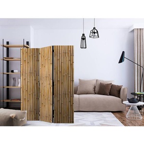Paravent Amazonian Wall Vlies / Buche Braun 135 x 172cm 3-teilig