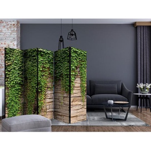 Paravent Ivy wall