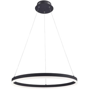 PAUL NEUHAUS LED-Pendelleuchte 2382-13 anthrazit, 38,5 W, 5250 lm, 3000 K