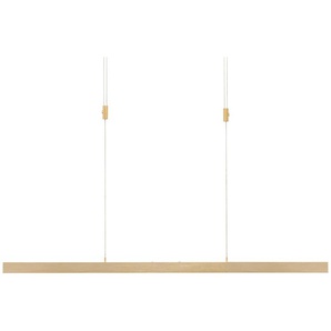 Paul Neuhaus LED-Pendelleuchte  messing-matt mit Touchdimmer   ¦ gold ¦ Maße (cm): B: 179 H: 190 T: 42.0