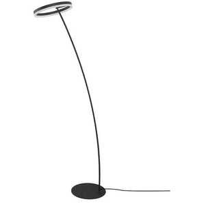 Paul Neuhaus LED-Stehleuchte 1-flammig anthrazit - schwarz - Materialmix - 215 cm - 40.0 | Möbel Kraft