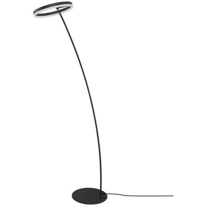 Paul Neuhaus LED-Stehleuchte  1-flammig  anthrazit   ¦ schwarz ¦ Maße (cm): H: 215  Ø: 40