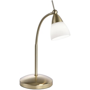 PAUL NEUHAUS LED-Tischleuchte 4001-60 messing-matt, 2,6 W, 265 lm, 3000 K