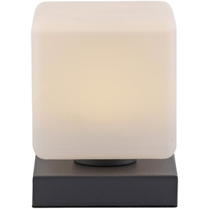 PAUL NEUHAUS LED-Tischleuchte 4036-13 anthrazit, 5 W, 580 lm, 3000 K