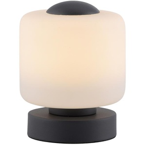 PAUL NEUHAUS LED-Tischleuchte 4037-13 anthrazit, 5 W, 580 lm, 3000 K