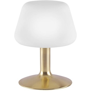PAUL NEUHAUS LED-Tischleuchte 4078-60 messing-matt, 2,6 W, 265 lm, 3000 K