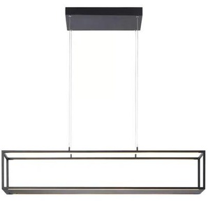 Paul Neuhaus Pendelleuchte   ¦ schwarz ¦ Maße (cm): B: 105 H: 120 T: 20.0