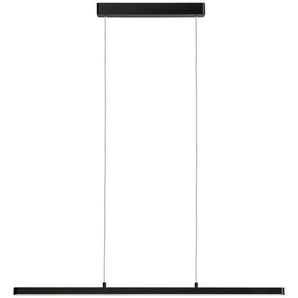 Paulmann Led-Hängeleuchte Lento, Schwarz, Metall, Kunststoff, 100x150 cm, Lampen & Leuchten, Innenbeleuchtung, Hängelampen, Esstischlampen