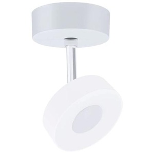Paulmann Schienensystem-Leuchten »URail Schienenspot Base Einzelspot max. 50W 230V«