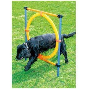 Pawise - Agility Ring 55Cm