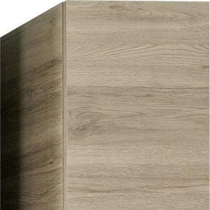 Pelipal Hochschrank Offenbach 195,5 x 30 x 33 cm GLO790201503