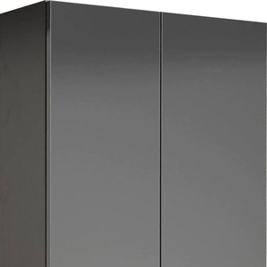 Hochschrank PELIPAL Quickset 311 Schränke Gr. B/H/T: 50 cm x 195,5 cm x 20 cm, 4 St., grau (anthrazit, anthrazit glanz) Bad-Hochschränke