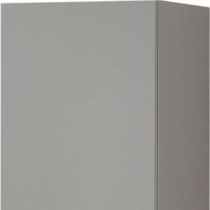 Pelipal Hochschrank Quickset 394 Quarzgrau/Akzent Polar Pinie 30 cm GLO790202878