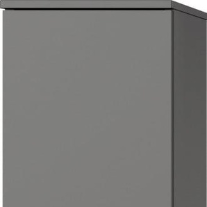 Pelipal Midischrank Quickset 394 Quarzgrau/Akzent Polar Pinie 30 cm GLO790202874