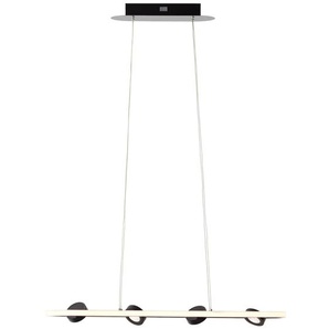 Pendelleuchte BRILLIANT Nebeker Lampen Gr. Höhe: 120 cm, schwarz LED Hängeleuchten und Pendelleuchten