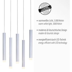 Pendelleuchte JUST LIGHT BRUNO Lampen Gr. 10 flammig, Höhe: 120 cm, grau (aluminiumfarben) LED Hängeleuchten und Pendelleuchten