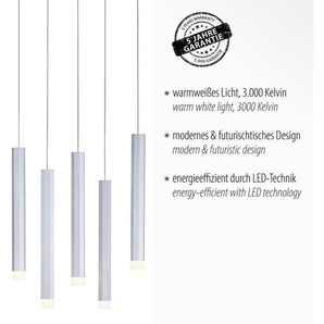 Pendelleuchte JUST LIGHT BRUNO Lampen Gr. Höhe: 120 cm, grau (aluminiumfarben) Pendelleuchten und Hängeleuchten LED
