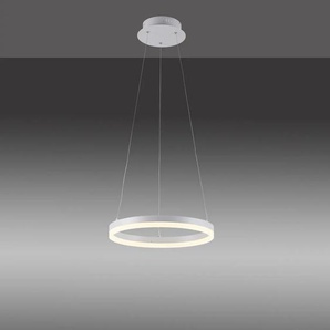 Pendelleuchte PAUL NEUHAUS TITUS Lampen Gr. Ø 40 cm, weiß LED Hängeleuchten und Pendelleuchten