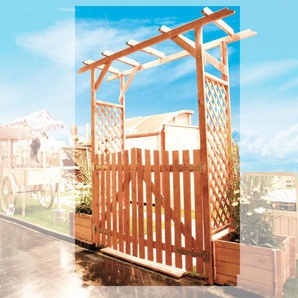 Pergola Bamberg mit Tür B200 x T51 x H208 cm Kiefernholz imprägniert Promadino