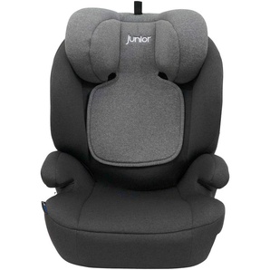 PETEX Autokindersitz Lukas Kindersitze I-SIZE mit ISOFIX, für Kinder mit Körpergröße 105-150 cm grau Autokindersitze
