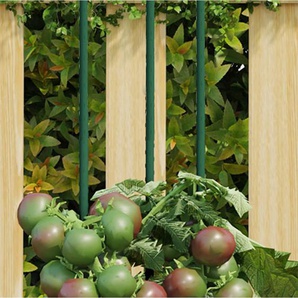 Pflanzenstützen 30 Stk. Grün 150 cm Stahl