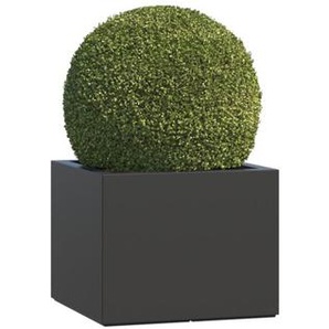 -47% | online Möbel Pflanzenkübel 24 bis kaufen Rabatt