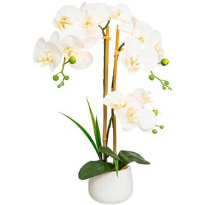 Phalaenopsis , Braun, Creme, Grün , Kunststoff , 60 cm , inkl. Topf, LED-Beleuchtung, Real-Touch-Oberfläche , Dekoration, Kunstblumen