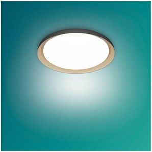 Philips Pebblo UE Ceiling SS B 10W 27K