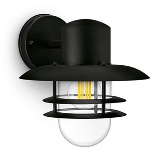 Philips Inyma WA Max 25W BL HV 06