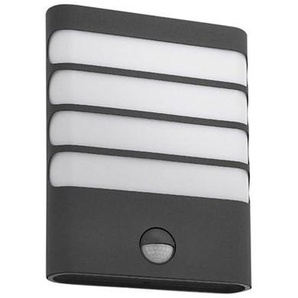 Philips myGarden Raccoon