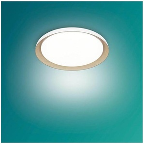 Philips Pebblo UE Ceiling SS W 10W 40K