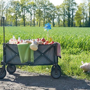 Pinolino Klappbollerwagen »Porti« - schwarz -