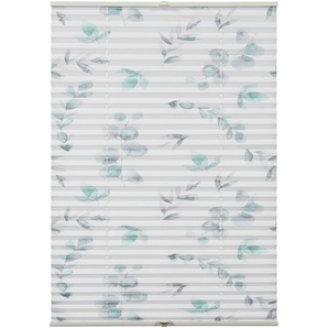 Plissee Concept Dekor Zweig