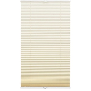 Plissee Concept Tageslicht Beige
