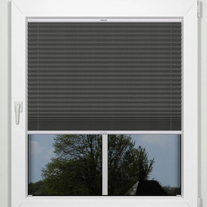 Plissee INDEKO simple Plissees Gr. 130 cm, zweiseitig verschiebbar, 115 cm, grau (anthrazit, weiß) Sonnenschutz-Plissees