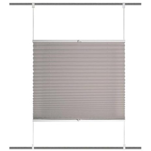 Plisseerollo   ¦ grau ¦ Maße (cm): B: 50 H: 130
