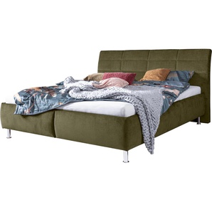 Stauraumbett ADA TRENDLINE Karla Betten Gr. Struktur fein TCM, Liegefläche B/L: 200 cm x 200 cm Betthöhe: 44 cm, kein Härtegrad, ohne Matratze, grün (olivgrün tcm 333) Stauraumbetten Lattenrost, wahlweise mit Matratzen, verschiedene Größen, Härtegrade