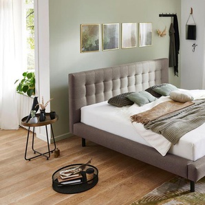 Polsterbett ANDAS Tobjörn Betten Gr. Liegefläche B/L: 140 cm x 200 cm Höhe: 35 cm, kein Härtegrad, grau (taupe) Polsterbetten ohne Bettkasten Mit breitem Futon-Rahmen