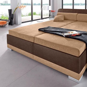 Polsterbett MAINTAL Betten Gr. Microvelours Ohne Bettkasten, Liegefläche B/L: 160 cm x 200 cm Höhe: 91 cm, kein Härtegrad, ohne Matratze, braun (cappuccino, braun) Bett Polsterbett Polsterbetten ohne Bettkasten Betten in verschiedenen Ausführungen