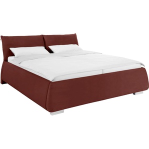 Polsterbett TOM TAILOR SOFT PILLOW Betten Gr. Samtstoff TSV ohne TOM TAILOR Print, Liegefläche B/L: 200 cm x 200 cm Betthöhe: 43 cm, H2 + H3, 5-Zonen-Tonnentaschen-Federkernmatratze, braun (copper tsv 22) Bett Kunstlederbett Polsterbett Polsterbetten ohne