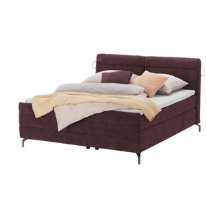 pop Boxspringbett - lila/violett - Materialmix - 168 cm - 116 cm | Möbel Kraft