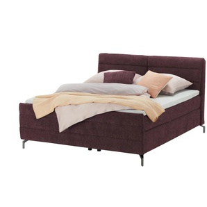 pop Boxspringbett - lila/violett - Materialmix - 188 cm - 116 cm | Möbel Kraft
