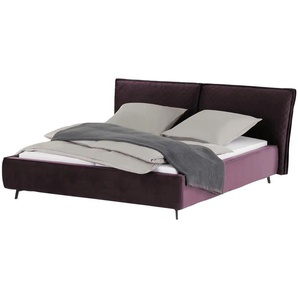 pop Polsterbettgestell Sunset - lila/violett - Materialmix - 243 cm - 105 cm | Möbel Kraft