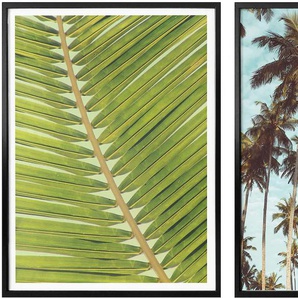 Poster WALL-ART Palmenblätter Miami Palmen Urlaub Bilder Gr. B/H: 50 cm x 60 cm, 2 St., bunt Poster